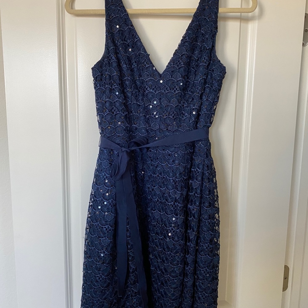 Adrianna Papell Sequin Lace Fit & Flare Dress